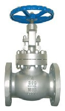 ANSI Globe Valve