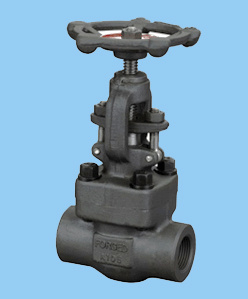 Forge Globe Valve