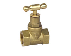 Brass Globe Valve (BC2008)