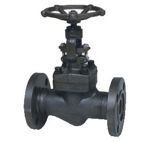 Globe Valve (J41H)