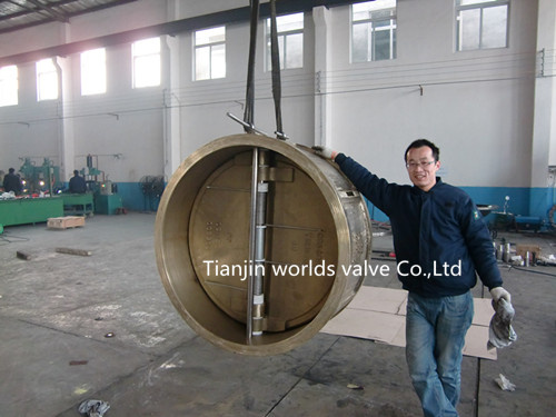 C95800 Check Valve (H77X-10/16)
