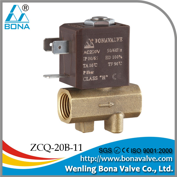 Leakage Detect Machine Brass Solenoid Valve (ZCQ-20B-11)