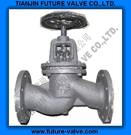 GOST Pn16 Cast Iron Globe Valve / Stop Valve (J41T-16)