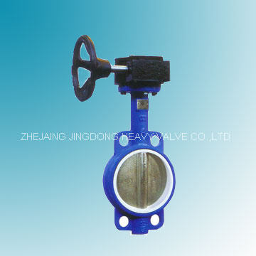 PTFE Butterfly Valve