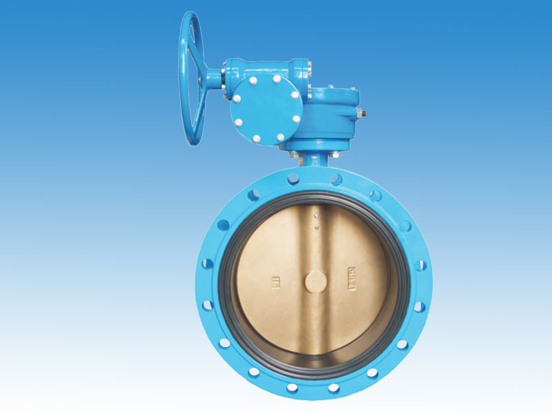 Flanged Concentric Disc Butterfly Valve