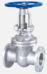 316 Stainless Steel Valve (ZW)