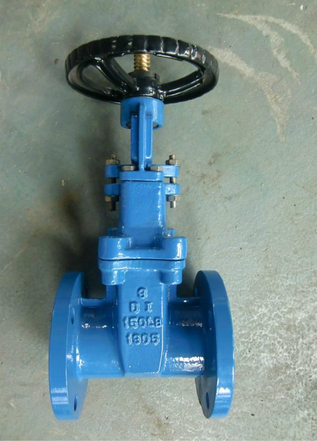 API Wcb Double Flanged Gate Valve