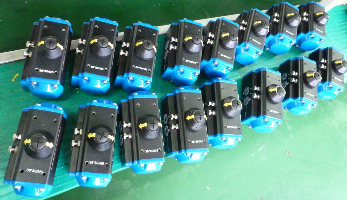 Valve Actuator (DFS032-DFS400/ DFG032-DFG400)