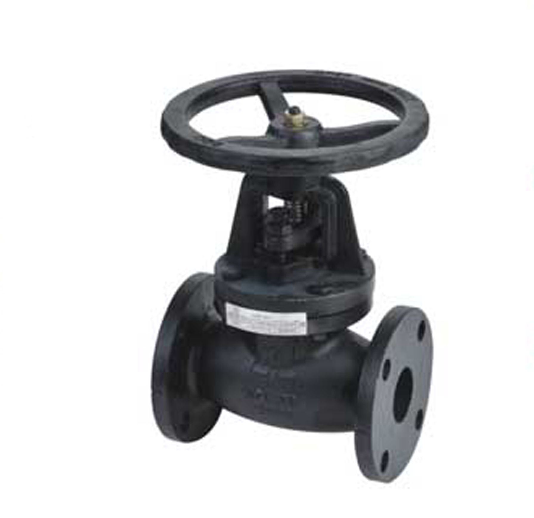 Cast Iron Globe Valve (3202)