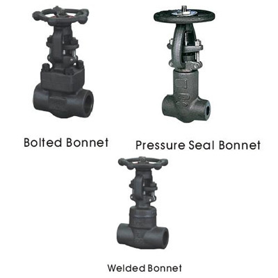 Forged Steel Gate Valve
