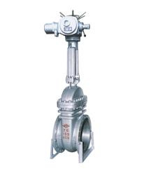 Gate Valve