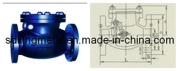 Shipbuilding Cast Iron 10k Swing Check Valves