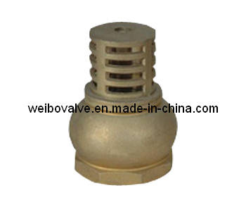 Brass Foot Valve/Check Valve (WB-4014)