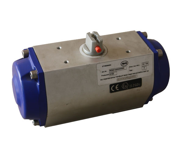 Pneumatic Actuator