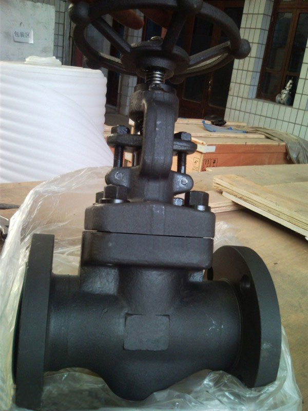 Forged Steel Globe Valve