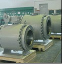 Forged Trunnion Mounted Ball Valve