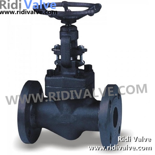 API 602 Forged Steel Flanged End Globe Valve