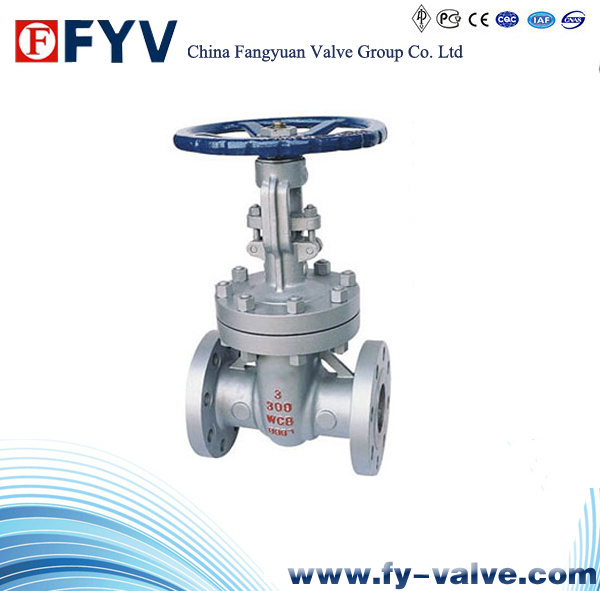 ANSI Cast Steel Gate Valve