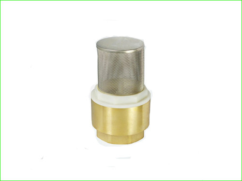 Check Valve/Valve/Brass Valve