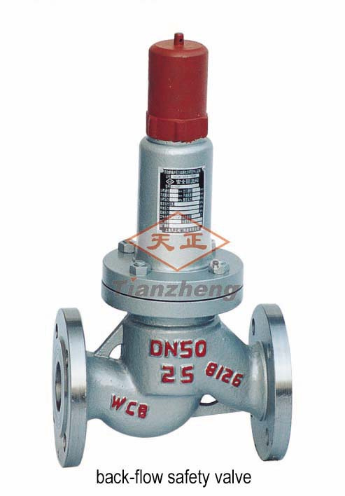 Back-Flow Safety Valve (19)