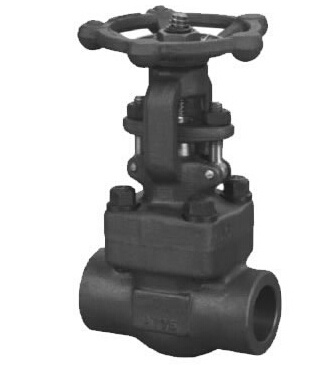 Forged Steel Gate Valve