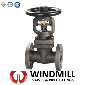 Forged Globe Valve (J41H)