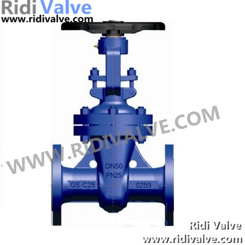 DIN F7 Rising Stem Gate Valve