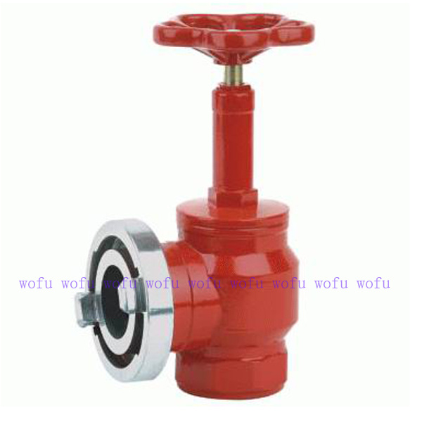 Fire Fighting Landing Valve