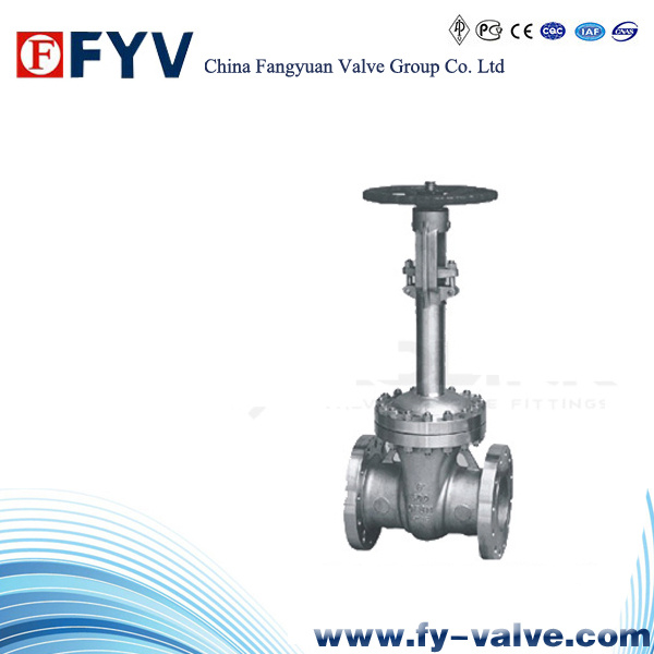 API Stainless Steel Cryogenic Gate Valve