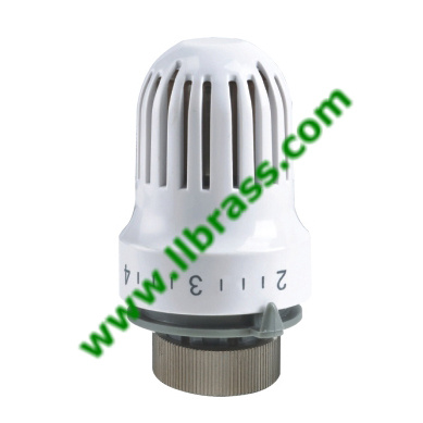 Thermostatic Head