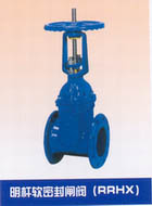 Rising-Stem Gate Valve