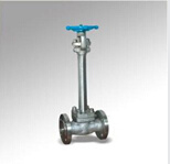 Forged Steel Cryogenic Gate Valve (DTV-Z005)