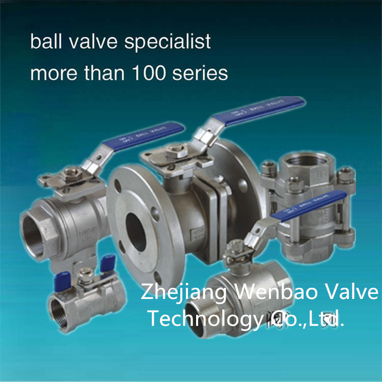 Stainless Steel Ball Valve