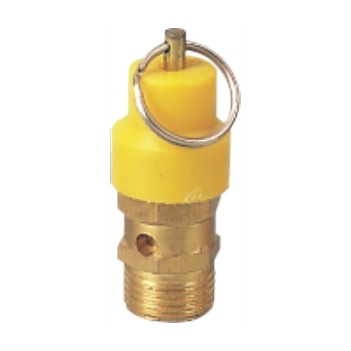 Mini Safety Valve