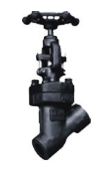 Forged Steel Y Type Thread Globe Valve
