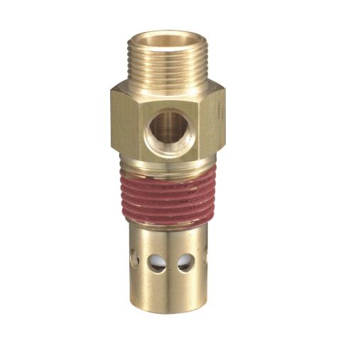 Check Valve