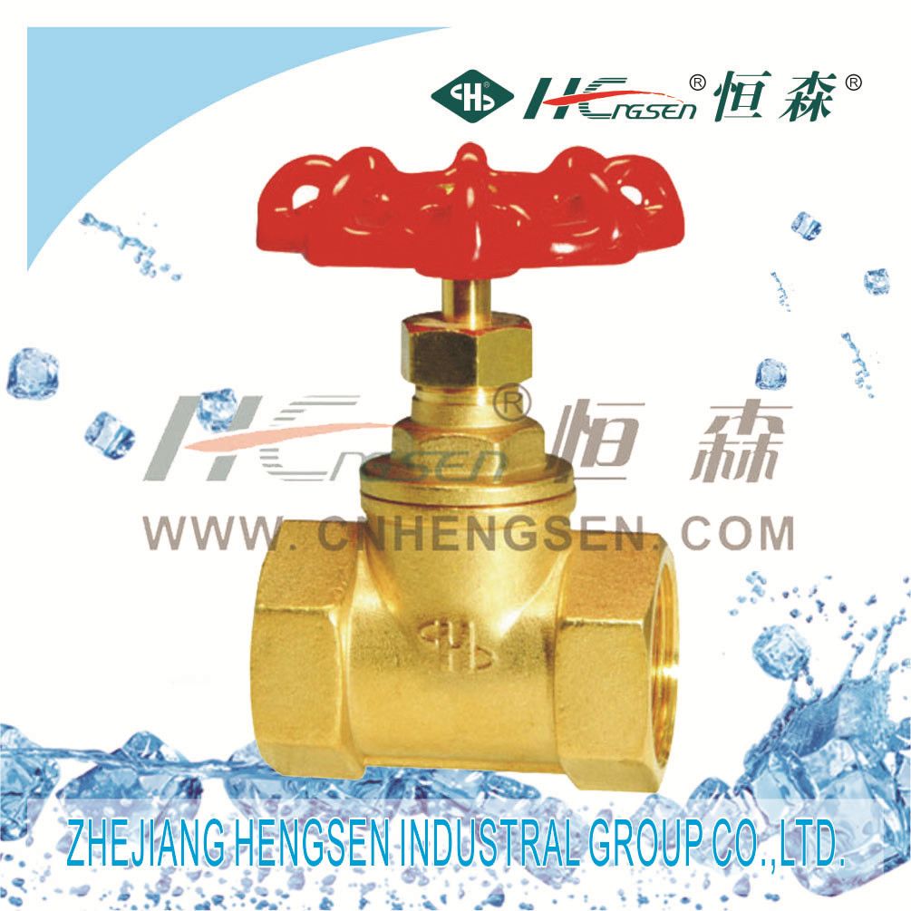 Brass Stop Valve/ Stop Valve/Brass Fitting