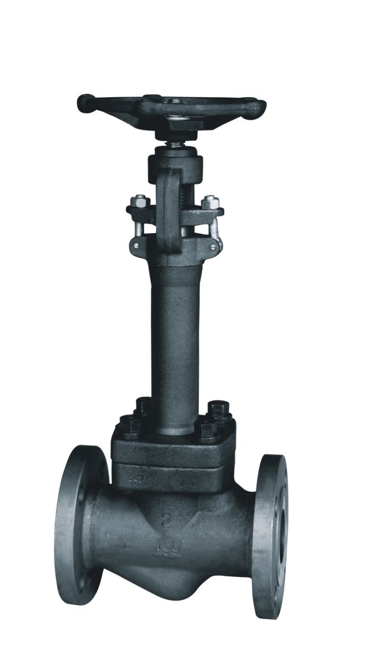 Forged Steel Cryogenic Flange Globe Valve (XT-J41)