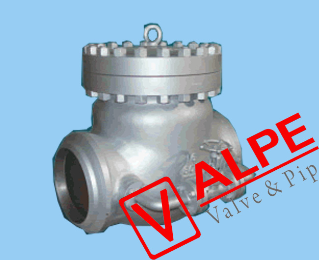 Swing Check Valve