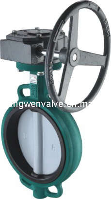 D371 Worm Geard Soft Seal Butterfly Valve