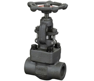 Forged Steel Globe Valve