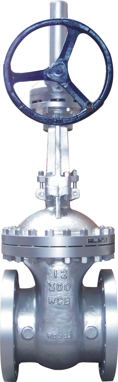 Cast Steel Gate Valve (DL2)