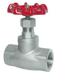 Stainless Steel Globe Valve Full Bore 200 Psi