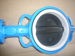 Wafer Type Butterfly Vlave Disc Coated PTFE