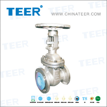 API 603 Gate Valve (Z41H-300LB 2