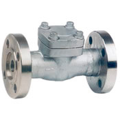 Forged Steel Flanged Check Valve