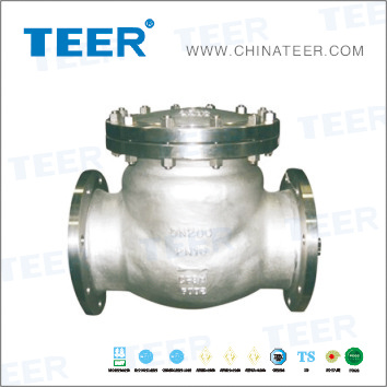 API 603 Check Valve (H41H150LB)