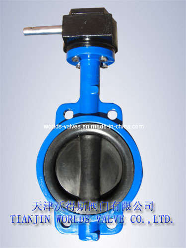 Butterfly Valve (CBF01ASG-PN10-ZB2431X3)