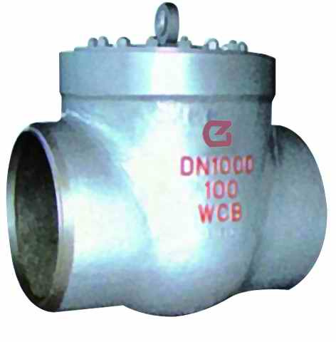 Check Valve