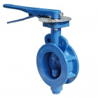 API609 En593 Butterfly Valve